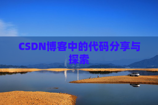 CSDN博客中的代码分享与探索